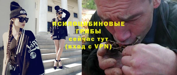 PSILOCYBIN Каменногорск