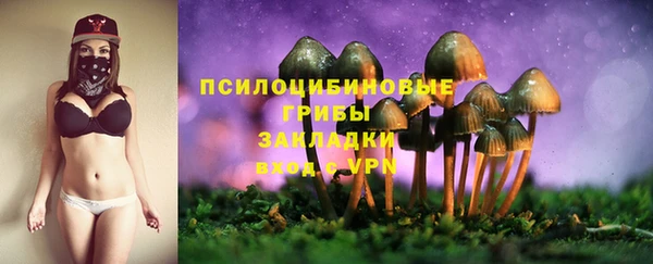 Альфа ПВП Каменка