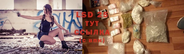 Альфа ПВП Каменка