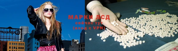 PSILOCYBIN Каменногорск