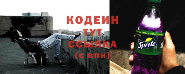 тгк Инта