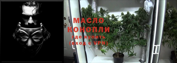 PSILOCYBIN Каменногорск