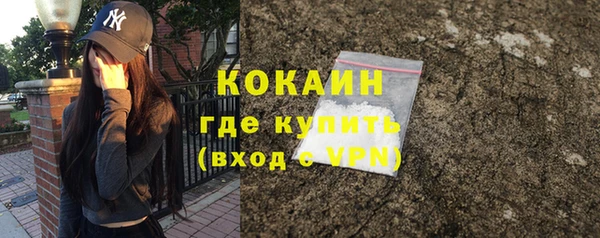 Альфа ПВП Каменка