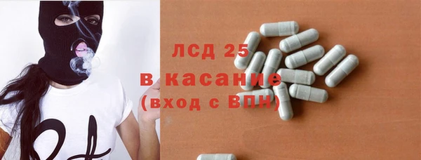 PSILOCYBIN Каменногорск