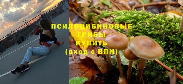 таблы Козловка