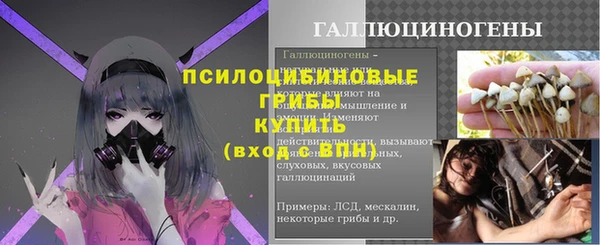 Альфа ПВП Каменка