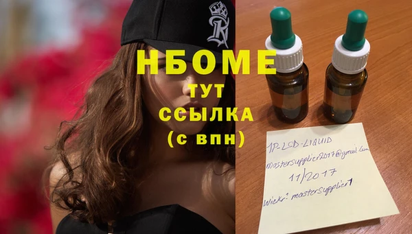 стафф Ладушкин