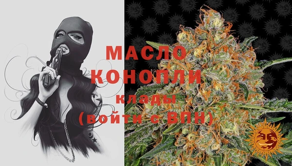 Альфа ПВП Каменка
