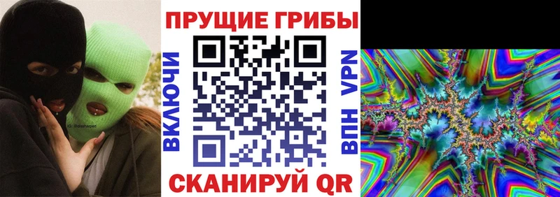 Псилоцибиновые грибы Cubensis  Обнинск 