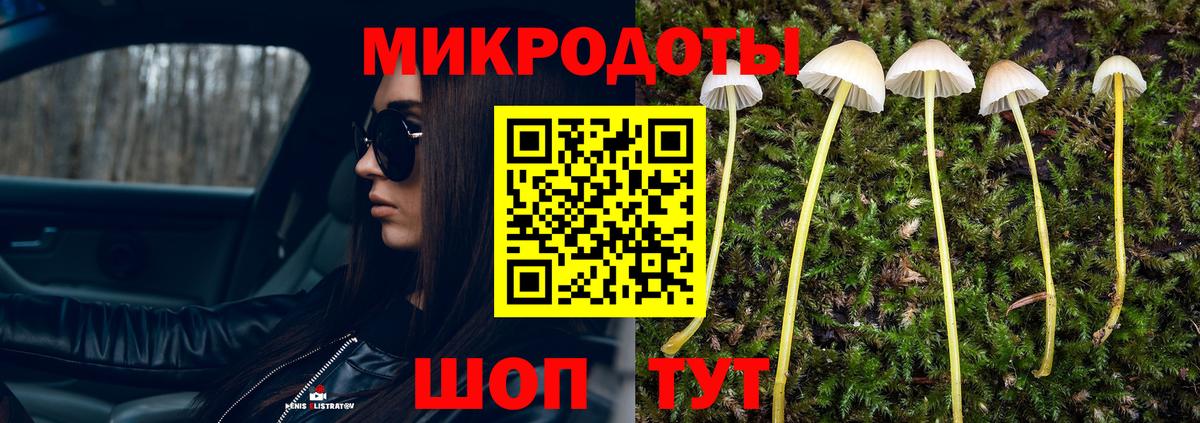 Галлюциногенные грибы MAGIC MUSHROOMS Обнинск